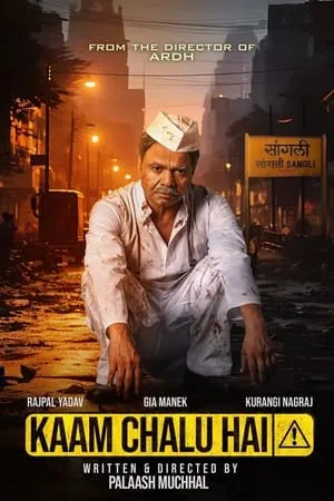 Download Kaam Chalu Hai 2024 Hindi Full Movie WEB-DL 480p 720p 1080p BollyFlix
