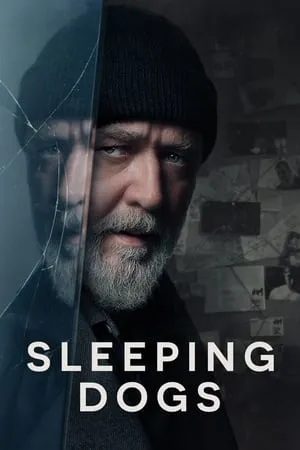 Download Sleeping Dogs 2024 English Full Movie WEB-DL 480p 720p 1080p BollyFlix